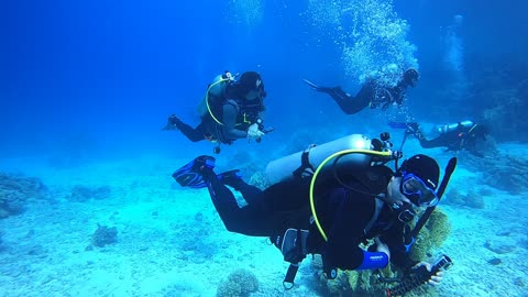 Red Sea SCUBA Diving group shot