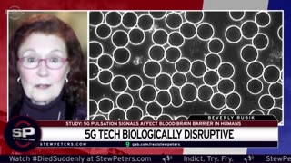 5G Radiation PENETRATES Human BLOOD BRAIN BARRIER!!!