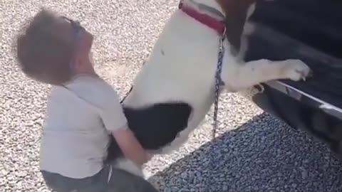 Just a boy helping his best pal up into the truck