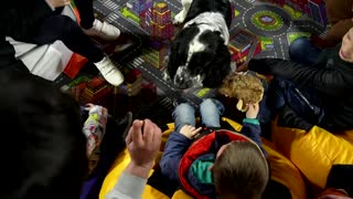 Dog therapy brings solace to displaced Ukrainian kids