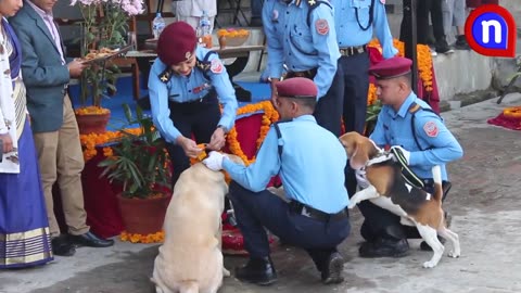 Kukur tihar 2023, Police dog training school in nepal.