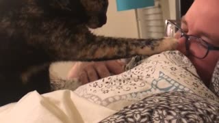 Kitty Alarm Clock Wakes Its Human up With a Boop