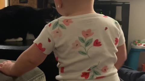 Toddler's Pretend Pain Confuses Kitty