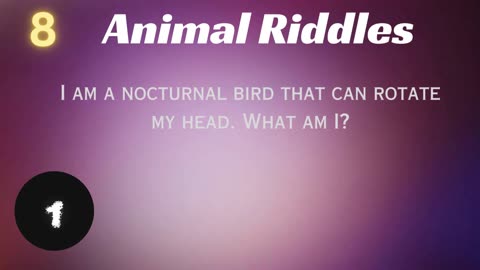 Animal Riddles | Can You Guess ??