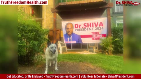 Dr.SHIVA™ - You Have Nothing to Lose But Your Chains. GO OFFLINE!