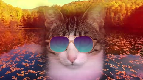 Kool Kat Vibes Presents Autumn Leaves on a Lake: Soothing Music and Relaxing Images of cool cats