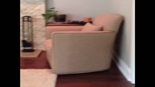 The Most Adorable Game Of Hide And Seek