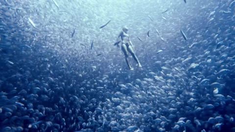 freediving into a fish vortex