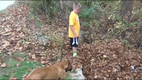 Adorable Bulldog Reacts When His Favorite Buddy Suddenly Disappears