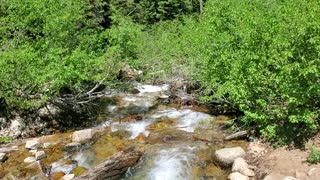 Little Cottonwood Canyon creek