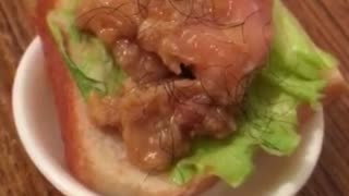 New Japanese Oyakodon Sandwich 22042023 🆂🆄🅱🆂🅲🆁🅸🅱🅴 ⚠️Viewer discretion is advised⚠️