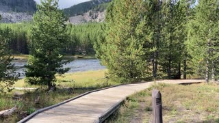 Yellowstone National Park First Timers Day 1