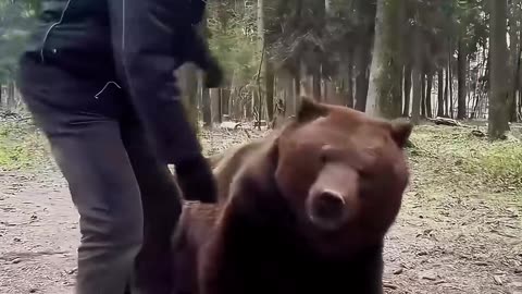 A bear cub was rescued and gave a second chance at life