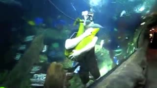 diver plays with a HUGE moray eel! Best friends !