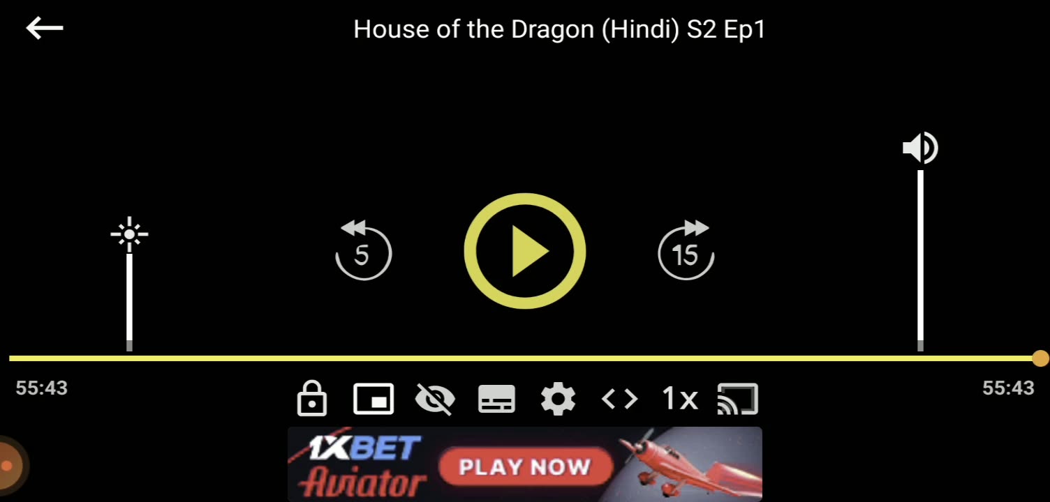 dragon of the house