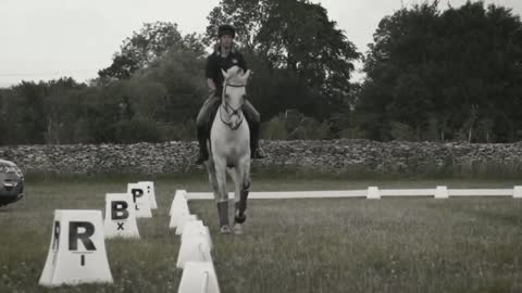 II What About Us II Equestrian muthic video