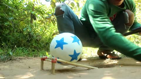 Creative bird Trap using Plastik Ball