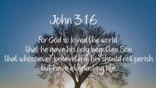 John 3:16