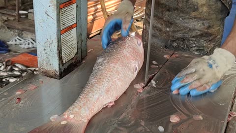 Big Mrigal Fish Fast Cutting By Machine In Fish Market l Amazing Fish Cutting Skills