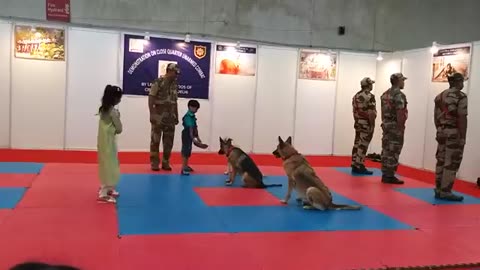 CISF demonstration of dog squad