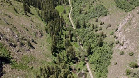 Beaver Rewilding Impacts measured by NASA