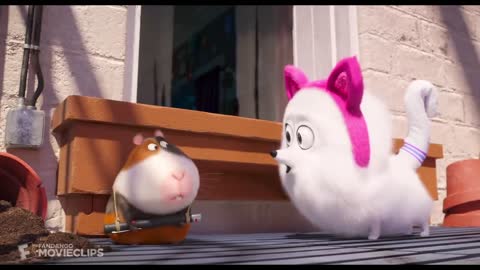 The Secret Life of Pets 2 - Dog vs. Cats Scene (5_10) _ Movieclips