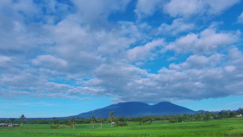 Morning clouds