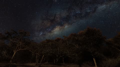 Timelapse of the milky way over forest tree on a clear night sky