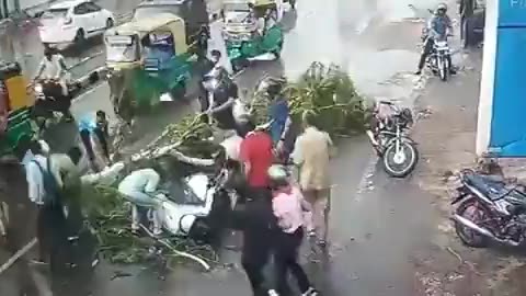Live video of natural calamity, heavy tree fell on scooty riders, then what happened....