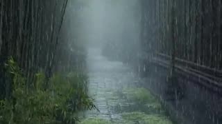 Experience the Serenity of Nature: Relaxing Rainfall in the Forest