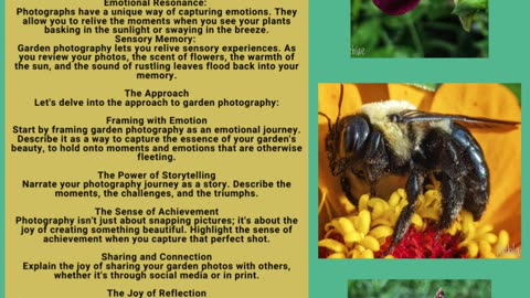 Botanical Revelations: Newsletter Issue #9 Page Turner
