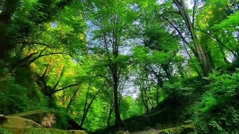 Iran, mazandaran, tirkan waterfall