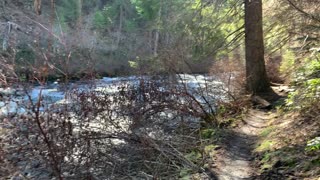 Beautiful, Raging Metolius River – Central Oregon