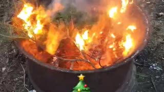 New Years Christmas Tree burn!! #shorts #bonfire #outdoors #tradition #christmas
