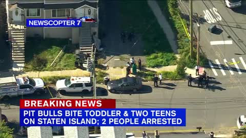 2 teens, toddler attacked by pit bulls on Staten Island