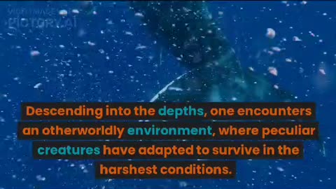 Explore the deep of ocean😲.short video to explain the ocean by cyber red zone.