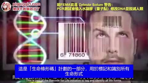 前FEMA官員 Celeste Solum 警告： PCR測試會植入水凝膠（量子點）修改DNA並毀滅人類