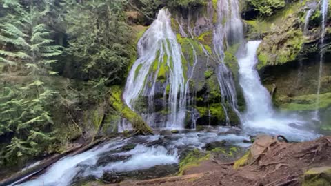 Waterfalls Cascada