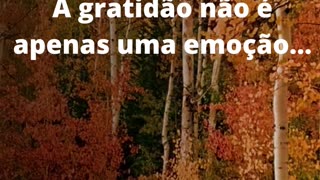 Gratidão