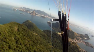 Vulture Almost Hits Paraglider