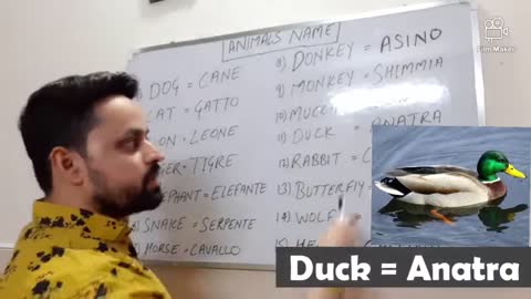 Lesson-18 Animals Name in Italian Nome degli Animali. Learn italian