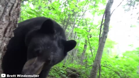 12 Times Hunters Messed With The Wrong Animal 😲
