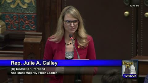 Rep. Julie Calley (R) - Michigan House Farewell Speeches - Dec. 2022