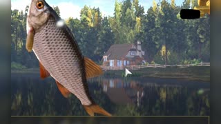 Fish ON, fishing Common Roach, Fishing Planet Game PC