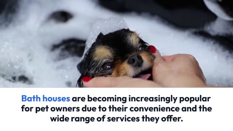 Bath House Grooming The New Way to Pamper Your Pet
