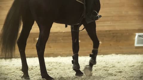 Legs the black horse galloping at show jumping competition