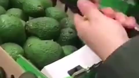 Narcotic avocado: Colombian cartels have learned a new way to smuggle cocaine