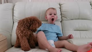 baby and dog chillin on couch