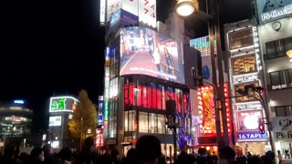 Japan night view