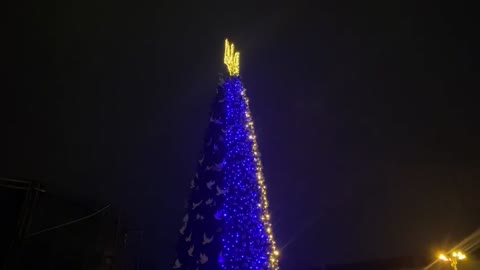 Crowd cheers as Christmas tree lights up in Kyiv, Ukraine